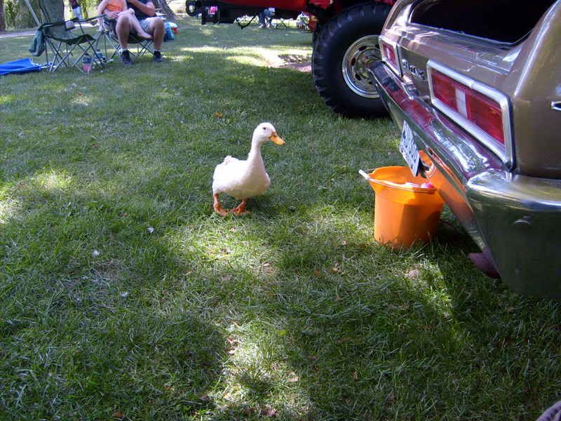 Event Coverage Igniters Car Show In Chillicothe Ohio The H.A.M.B.